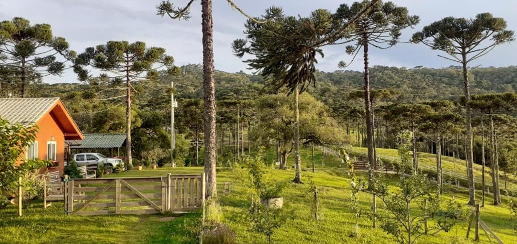 Chalé Bienz - Hospedagem Rural Urubici Exterior foto